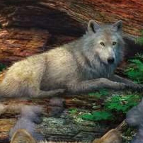 New sealed Ravensburger 1500pcs Puzzle-Wolves In Spring | Adult Puzzles - Picture 4 of 16